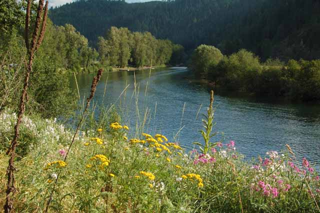 the St. Joe River